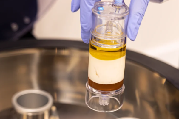 Screenshot 2026-01-17 120010