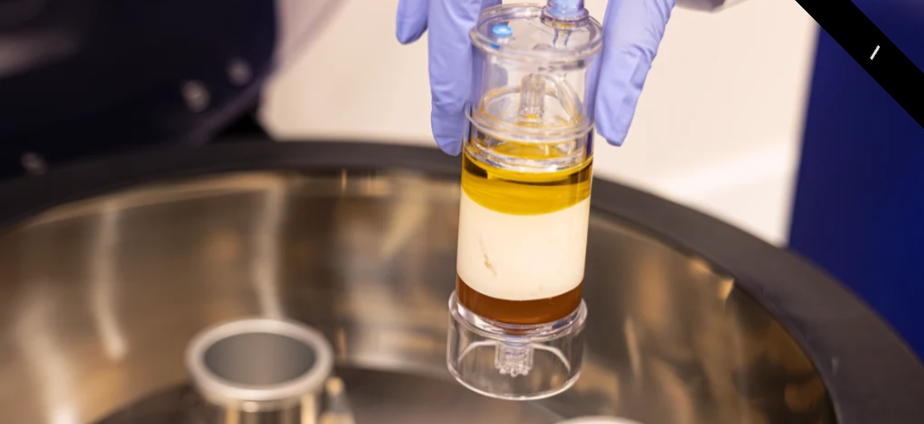 Screenshot 2026-01-17 120010